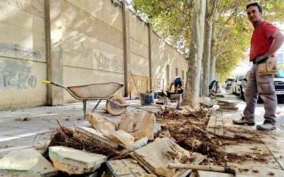 El Ayuntamiento de Elda renueva las aceras de la avenida de Ronda para mejorar la accesibilidad y evitar que las raíces de los árboles levanten el pavimento