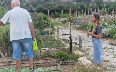 El Ayuntamiento de Elda recibe una subvención de la Diputación de Alicante para impulsar los Huertos Ecológicos Municipales