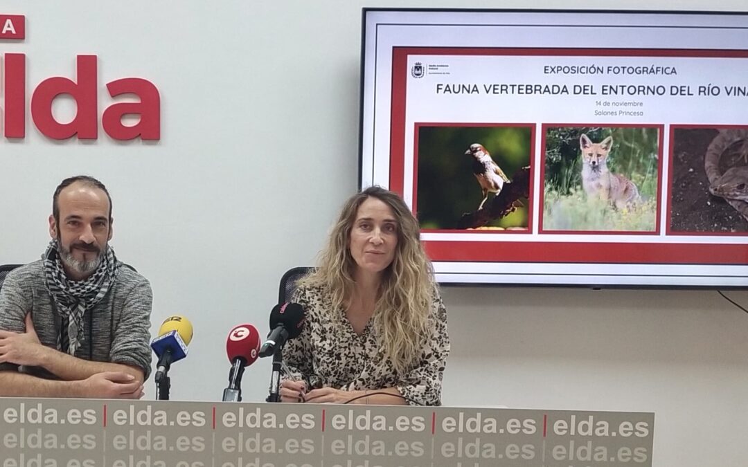 Una exposición fotográfica solidaria reúne una selección de la fauna que tienen su hábitat en el Vinalopó a su paso por el término municipal de Elda