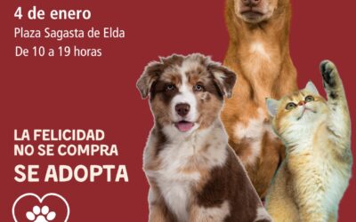 La Plaza Sagasta acogerá el próximo 4 de enero la primera edición de la Feria de Protección Animal para impulsar la adopción responsable